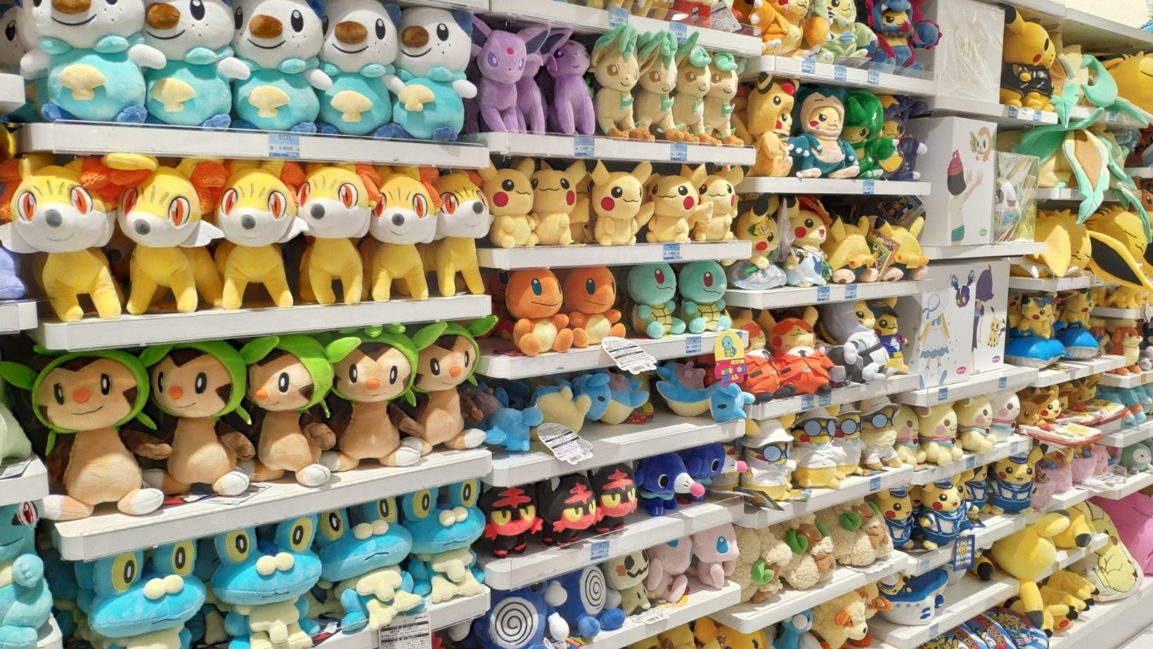 Displaying Pokemon Plush